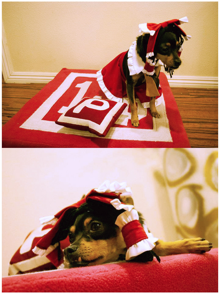 Doggy Reimu: Donation PLZ