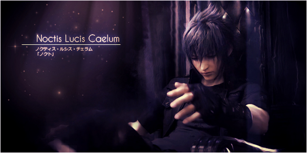 Noctis Signature