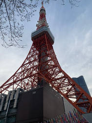 A Tower in Tokyo