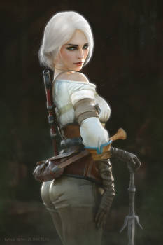 02 19 Ciri 2