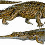 Crocodile and Gharial