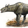 Paraceratherium (Indricotherium) transuralicum