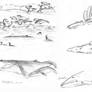 Miocene sketches