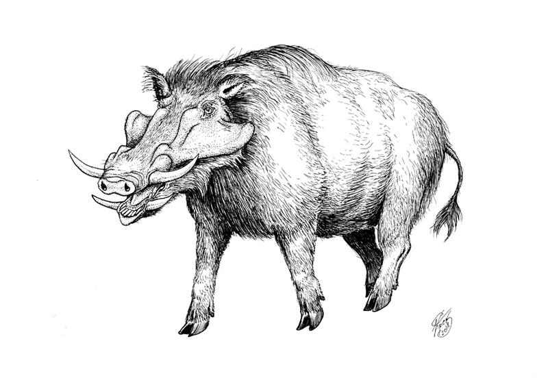 Kolpochoerus by batworker on DeviantArt