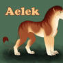 Aelek Character Sheet