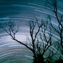 Star trails