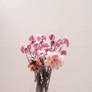Dead Flowers