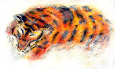 tiger