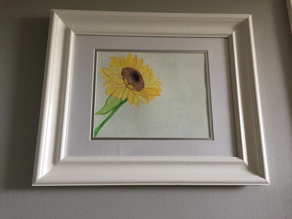 Sunflower Framed