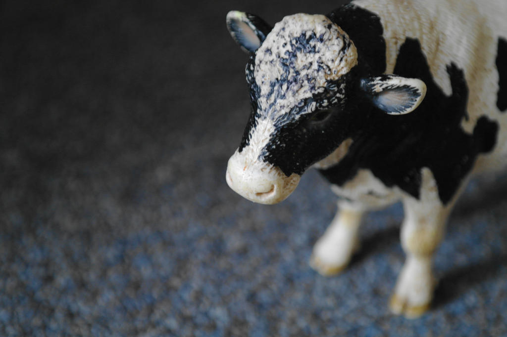 Deviantart Cow Puppet Cow by possumpie1 on DeviantArt