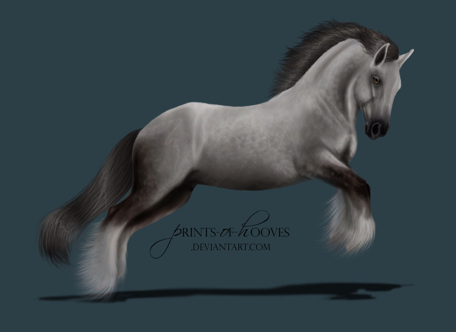 Dapple Gray Draft Horse by prints-of-hooves on DeviantArt