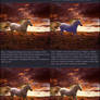 Matching a Horse to a Sunset Photomanip Tutorial