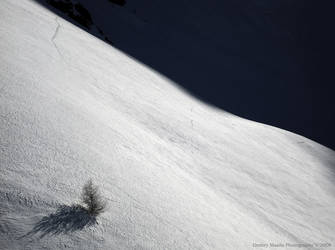 Marble Snow