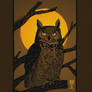 Great Horned Owl 2