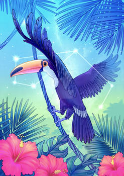 Toucan Constellation