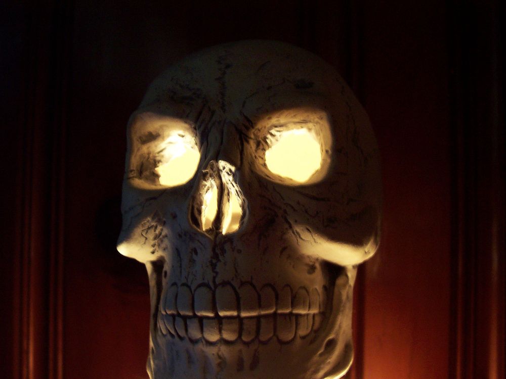 crappystock_CERAMIC_SKULL_001 by spacingham