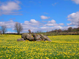 Landscape of Aubrac