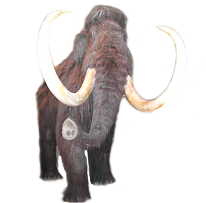 Mammoth PNG stock