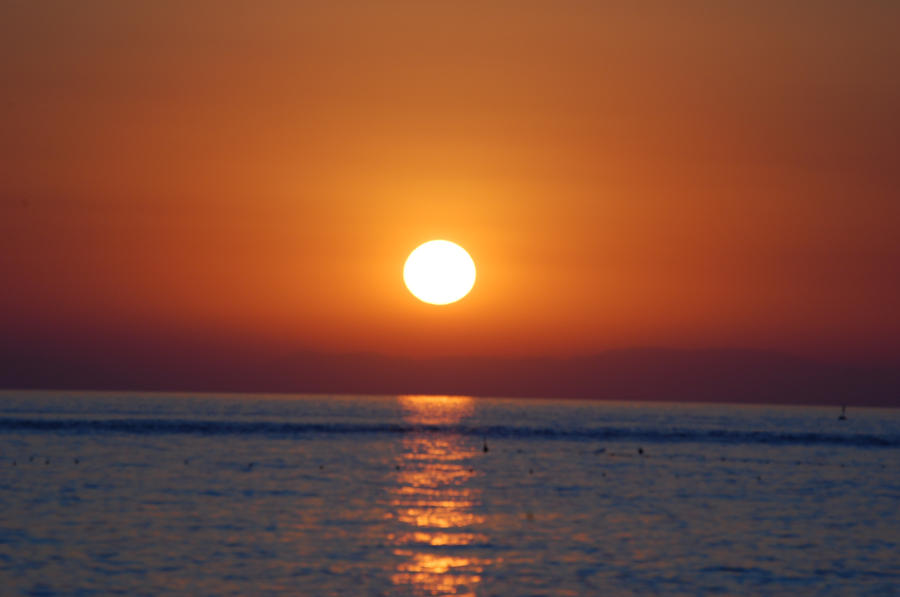 July Sun By Pauze2010 On DeviantArt july-sun-by-pauze2010-on-deviantart