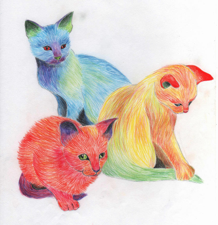 Multicoloured kittens