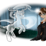 My Little Harry - Harry Trotter