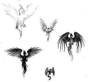 Phoenix designs