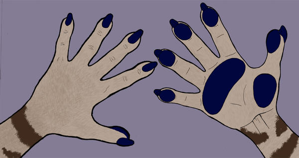 Anthro Hands by KiyaraSabel on DeviantArt