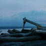 Richmond Beach Panorama