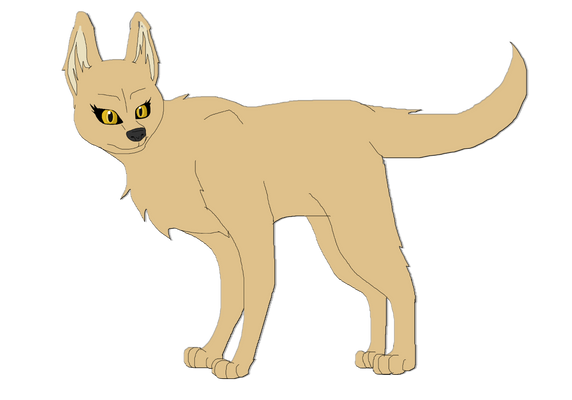 Gift|Riga the timber wolf