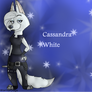 Zootopia|Cassandra Wallpaper|