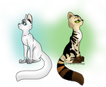 WC| Two lovely kitties by TheWarriorDogs