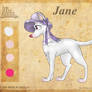 Up and Ahead| Jane Ref sheet