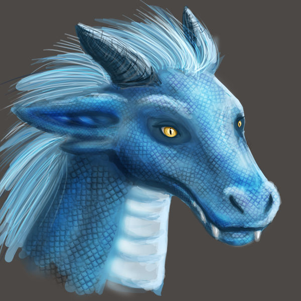 All Rika's Dragon Rika Dragon by KyleEHavoc on DeviantArt