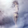 - Snow Angel -