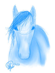 Daily Equine Sketch - 5