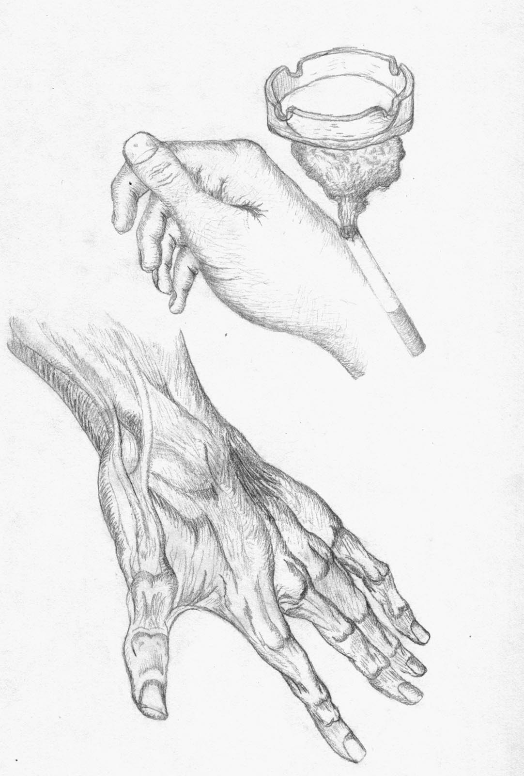 Hand study