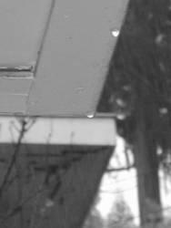 La gota que revalso la vida...