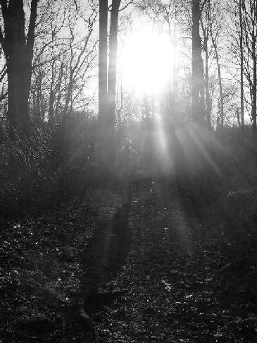 Light Rays with Shadow by clp71300 on DeviantArt