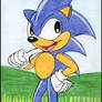 Sonic The Hedgehog 27 Years