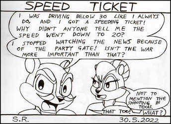219 Speed Ticket