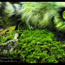 --SOLD--Hand Made Poseable Fantasy Raccoon!