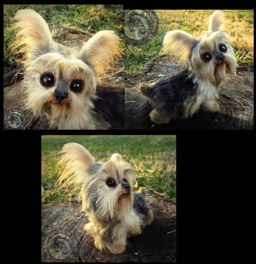 -SOLD- Hand Made Poseable Yorkie! by Wood-Splitter-Lee