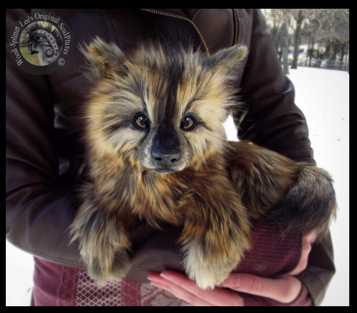 -SOLD-HAND MADE Poseable LIFE SIZED Wolf Pup! by Wood-Splitter-Lee