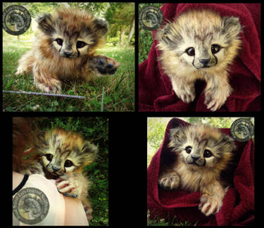 SOLD HAND MADE Life Sized Golden Cheetah Cub!
