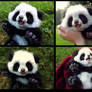 SOLD HAND MADE Poseable Baby Panda!