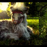 SOLD HAND MADE Poseable Baby Shetland Pony!