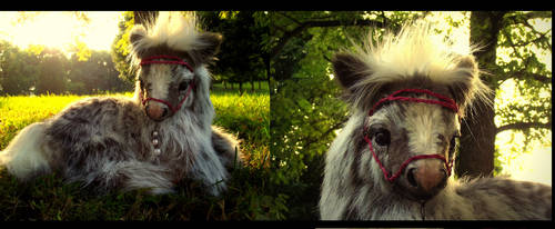 SOLD  HAND MADE Poseable Baby Shetland Pony!