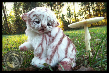 SOLD HAND MADE Baby White Tiger!