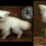 SOLD - Handmade Poseable Baby Vanilla Fox!