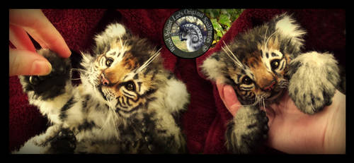 SOLD- Handmade Poseable Baby Tiger Cub!